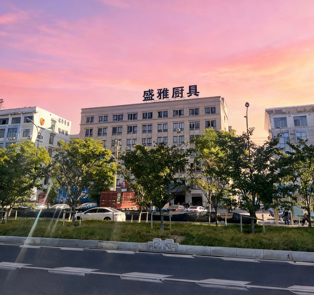 公司实力