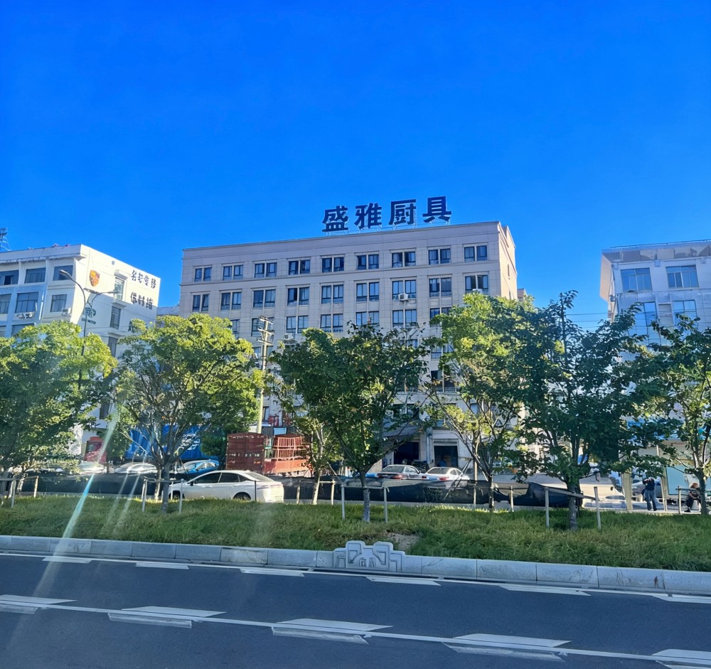 公司实力
